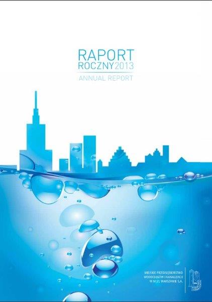 raport roczny 2013